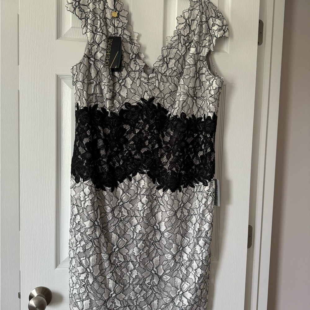 Black LaceTadashi Shoji SZ 18 Gray Lining & V-Neck Scallop Edged Midi Dress NWT